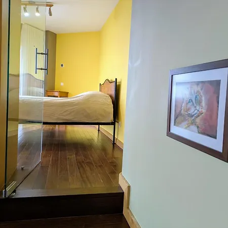 Special Loft Appartement Porto